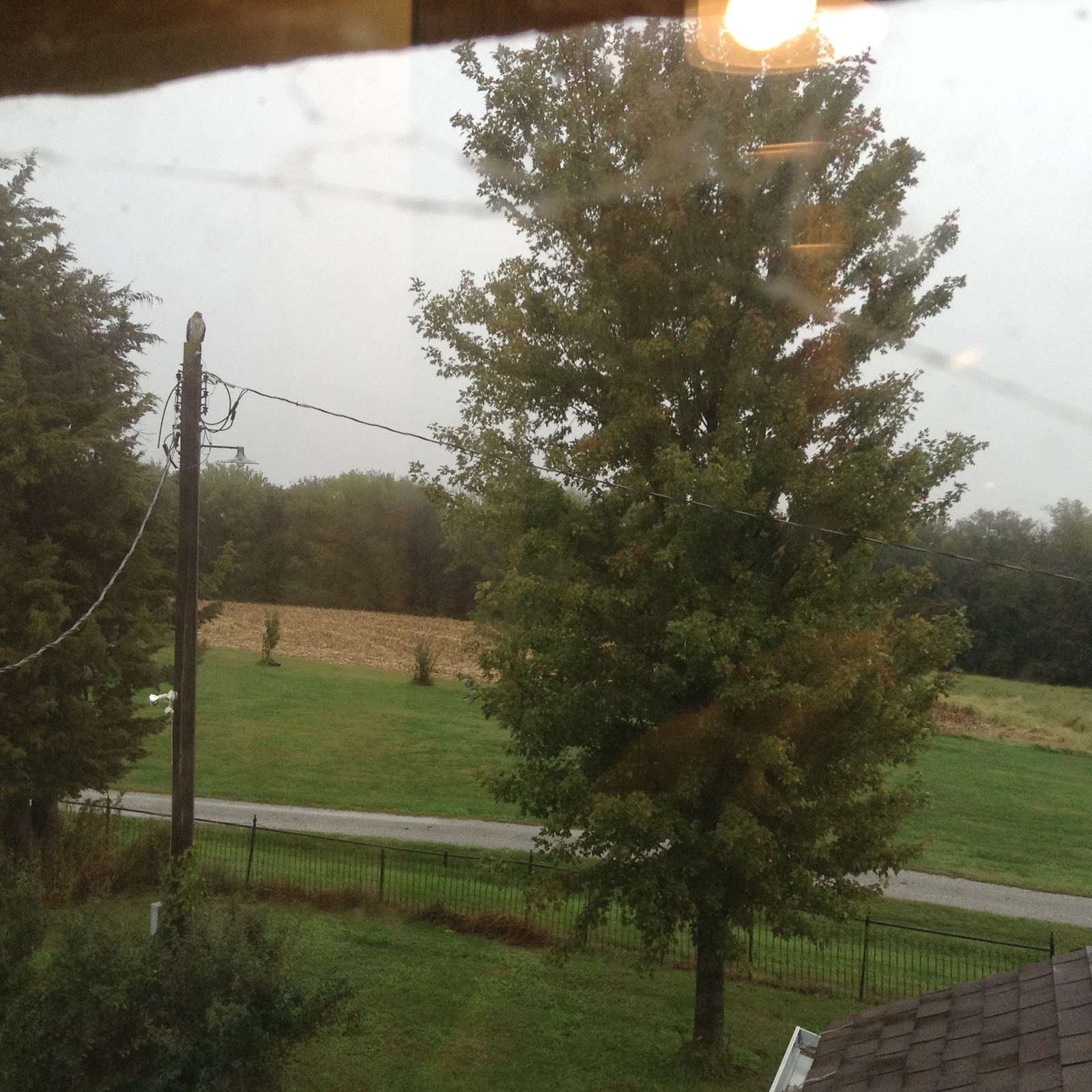 Oakdale Farm Weather! The Farm Report 10122018