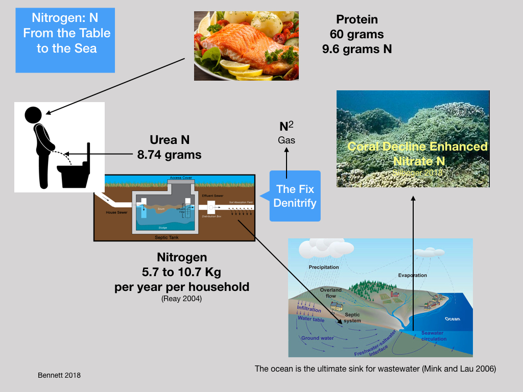 H2O Healthy Hawaiian Oceans Problematic Nitrogen?