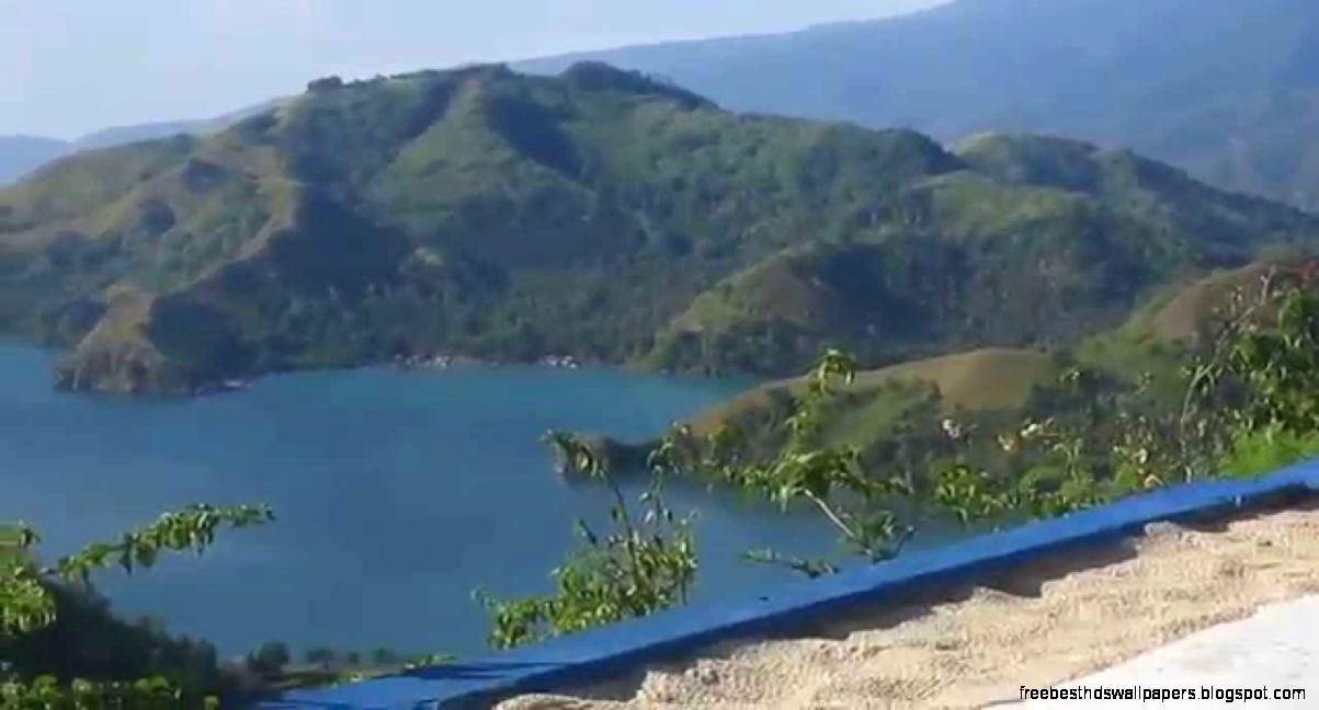 sleeping dinosaur at mati dvo oriental   YouTube