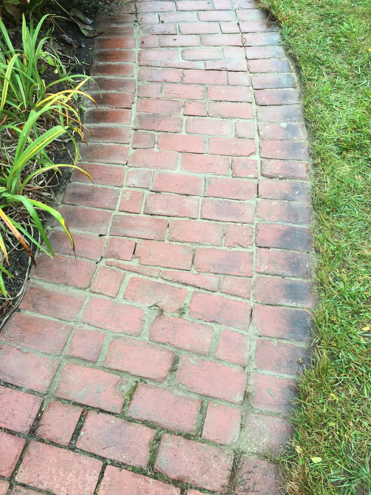 An Old Farm Leveling An Old Brick Walkway