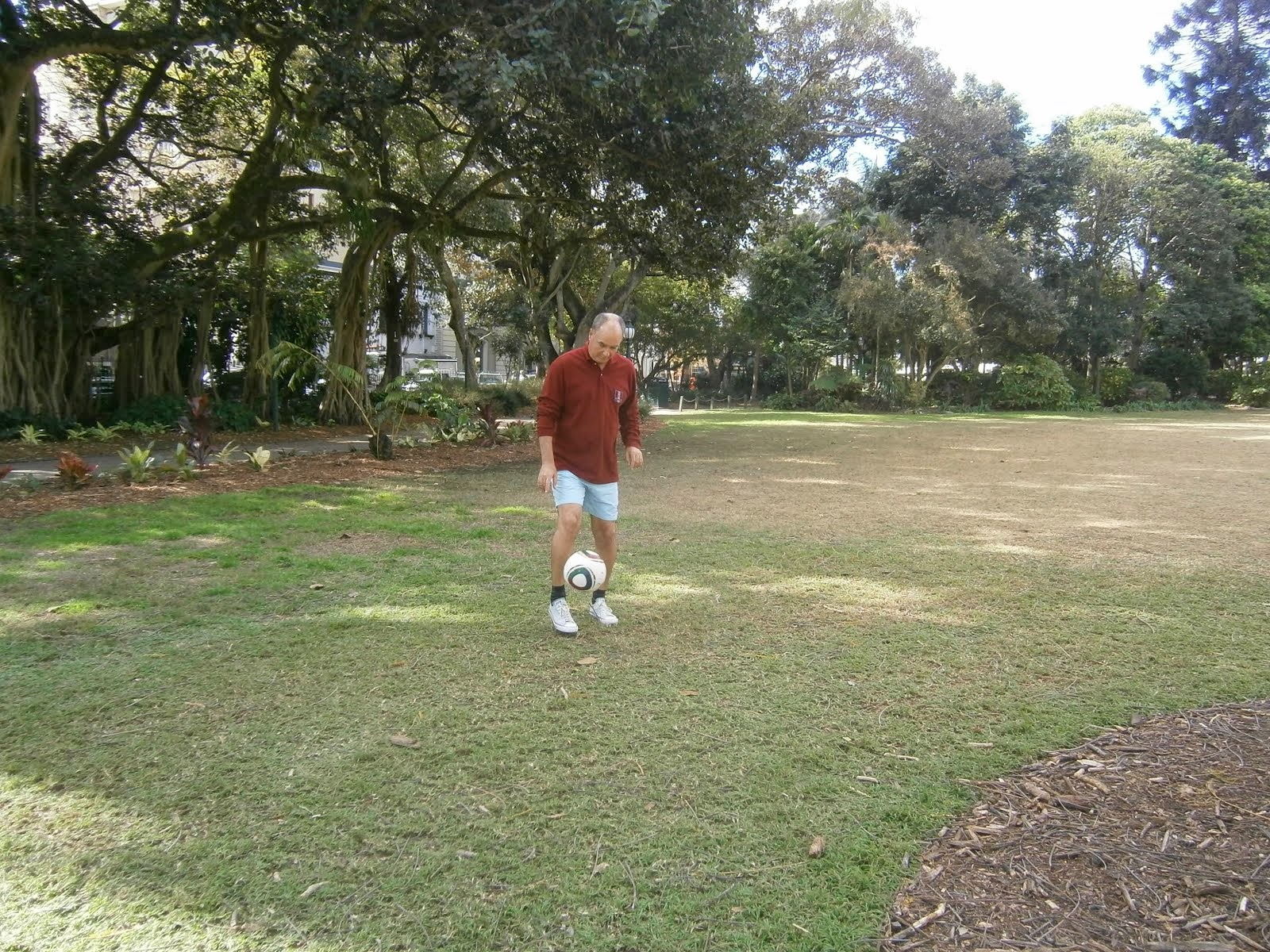 Botanic Garden (Brisbane - AUS)