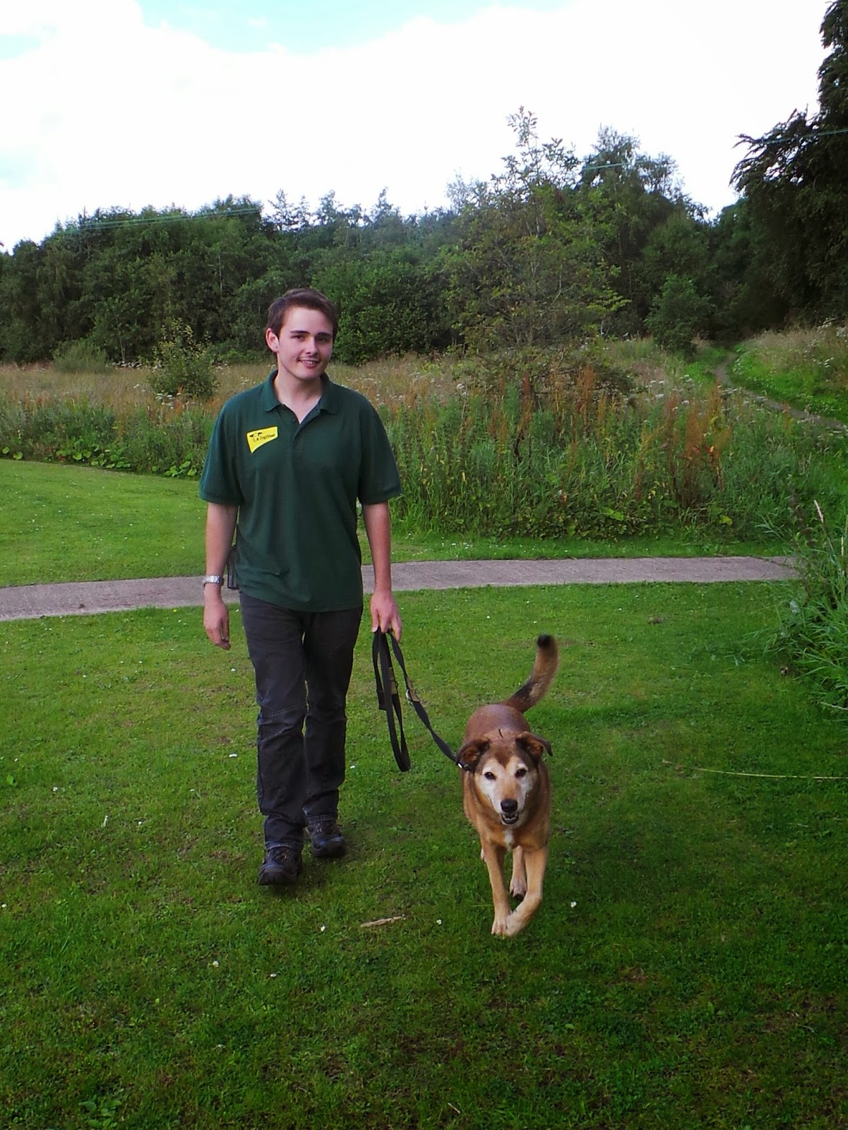 Dogs Trust Dogs Trust West Calder Basil