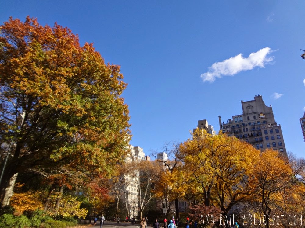 Foliage and buildings around Central Park in the fall
