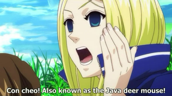 Anime di Indonesia - Arakawa under the bridge