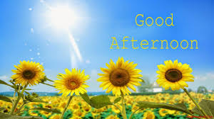 NEW*} Good Afternoon Messages, Quotes, In Hindi & English Language