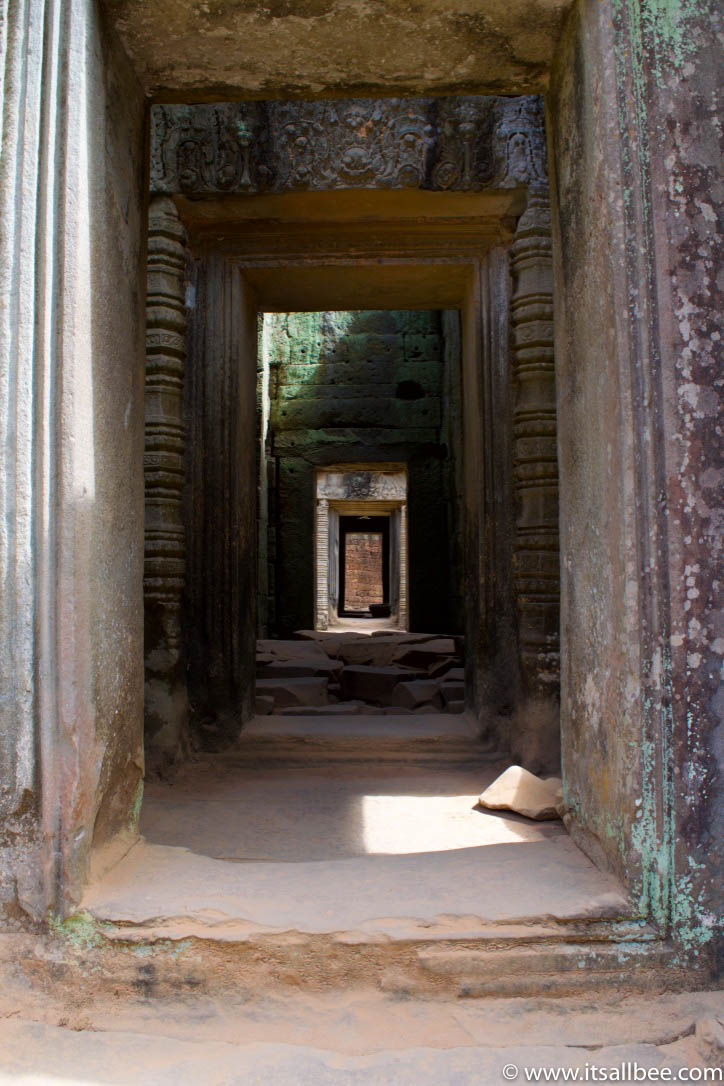 Tips for exploring Ta Prohm, Cambodia's famous temple aka The "Tomb Raider" Temple. Pictures to illustrate why this is a must see temple in Siem Reap. #trip #traveltips #asia #thingstodo #adventure Tips for exploring Ta Prohm, Cambodia's famous temple aka The "Tomb Raider" Temple. Pictures to illustrate why this is a must see temple in Siem Reap.