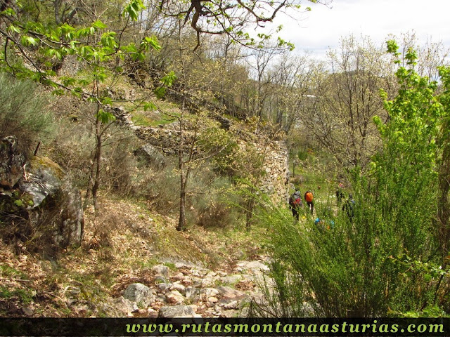 Colmenares de abejas