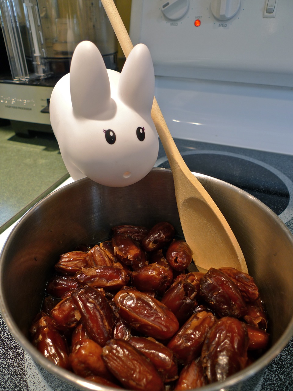 year-of-the-labbit-labbits-like-date-squares