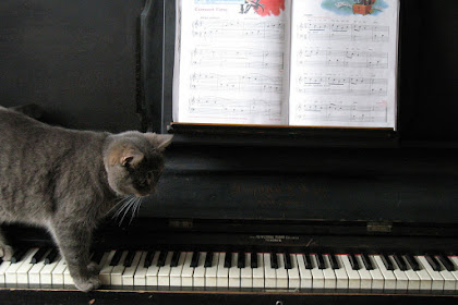 Tips Mudah Bermain Piano Secara Otodidak, Pasti Cepat Menguasai !