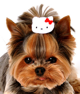 Hello Kitty pet dog hair clip accessory
