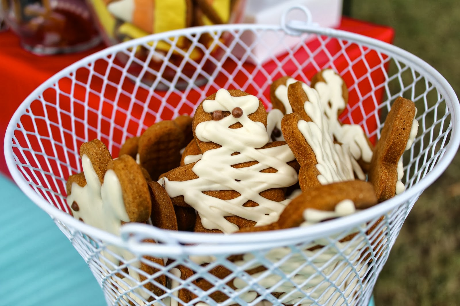 My Dog Treat Vendor Display Treat Dreams...are made of this