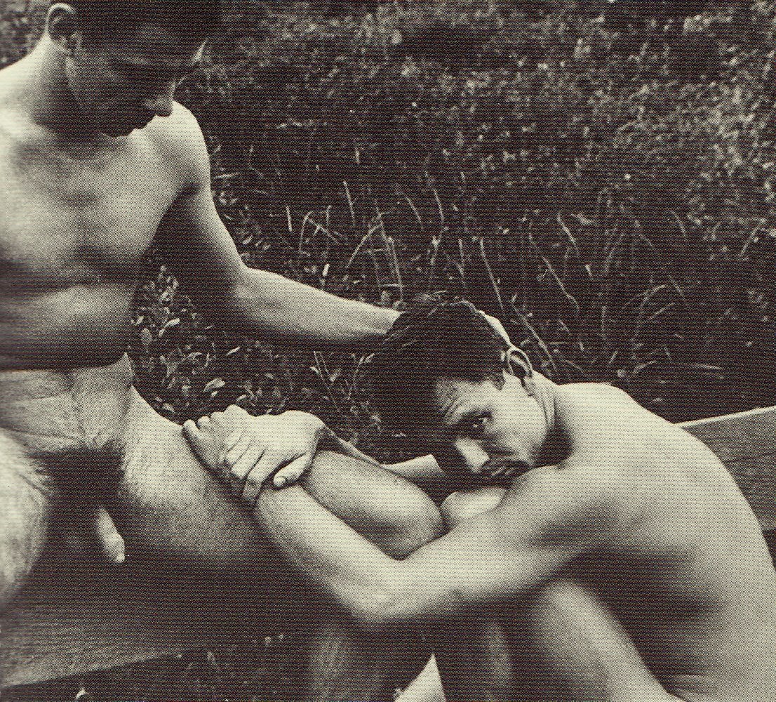 Homocr%C3%B3nicas+-+PaJaMa+adan6%5B1%5D.