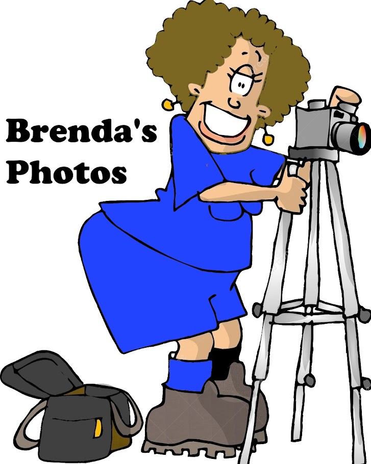 Brenda's Photo Blog