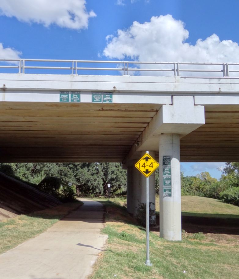 Houston in Pics Houston Bat Colony