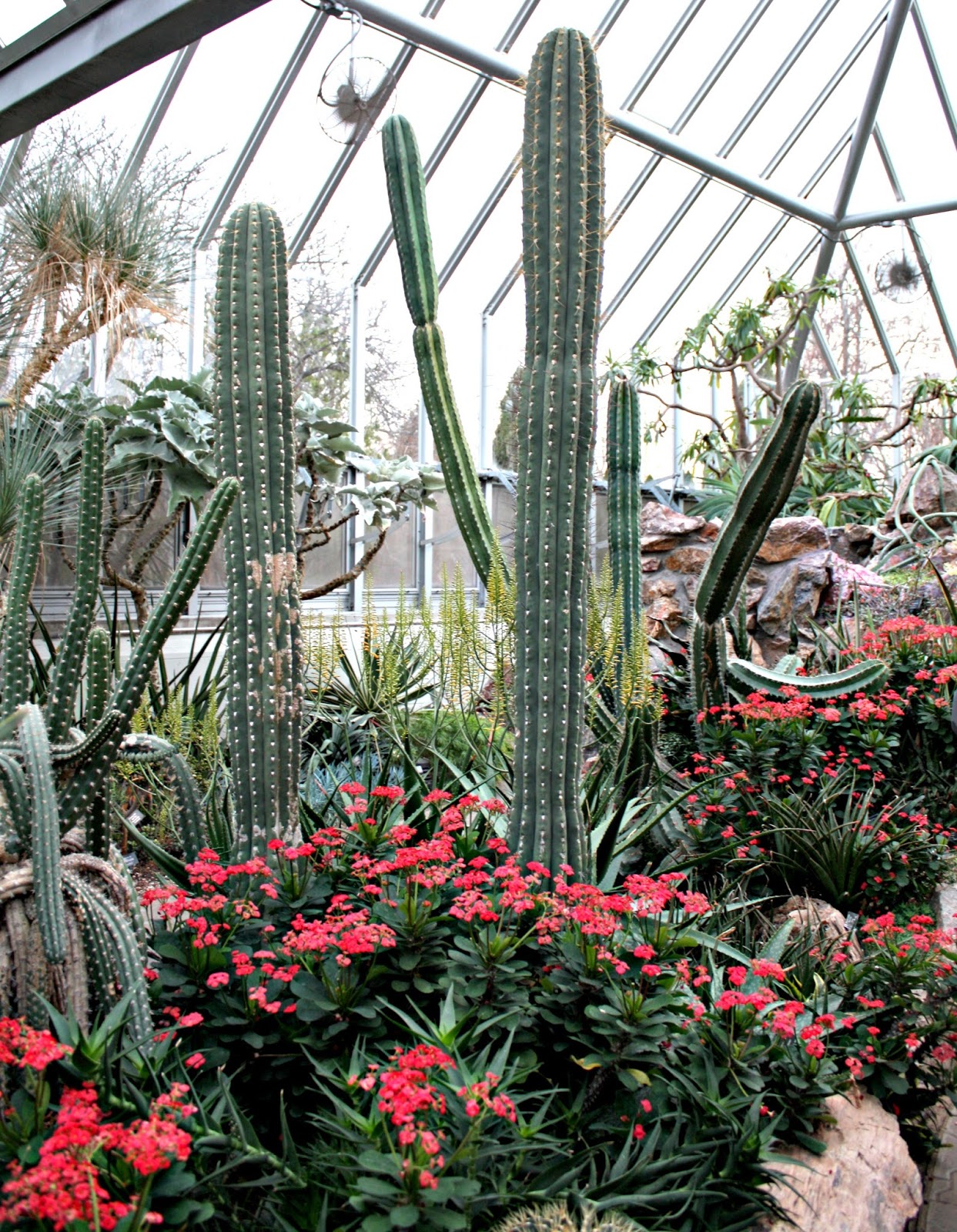 A Little Time and a Keyboard Holiday Lights and Greenhouses at Chicago