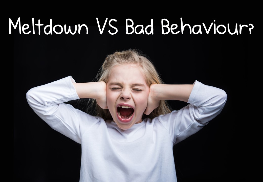 Teacher's Time Turner Meltdown VS Bad Behaviour?