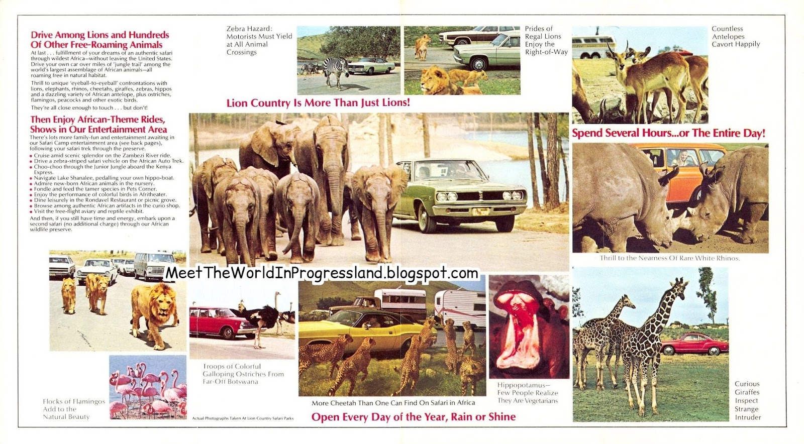 Meet The World Places I've Never Been Lion Country Safari