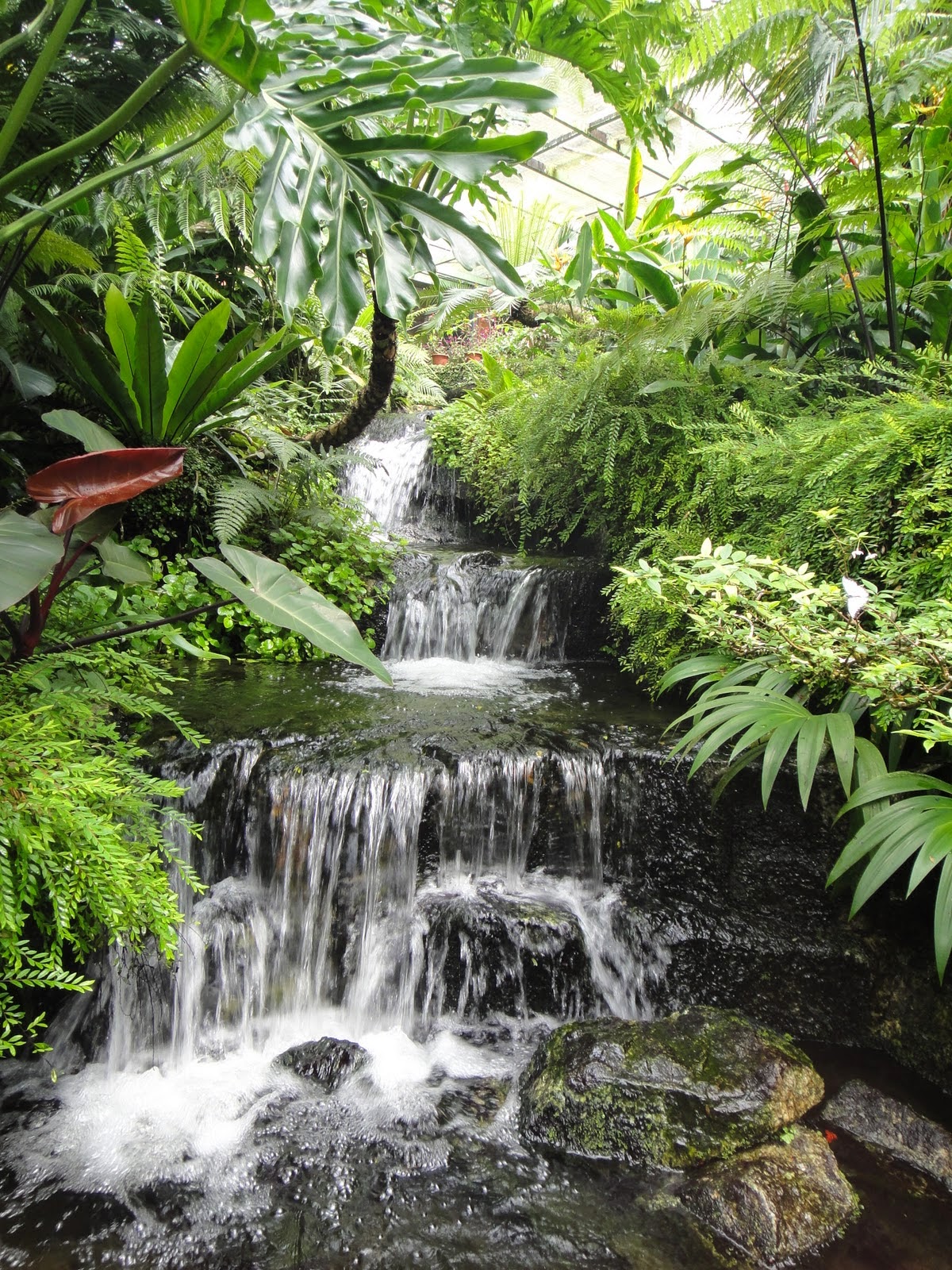 SeDetik SeKetika: Taman Rama-Rama Penang