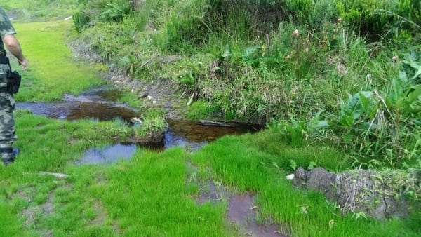 Nascentes do Rio Canoinhas Nascentes do Rio Canoinhas