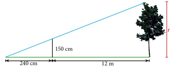 Masalah Perbandingan Senilai pada Peta dan Model