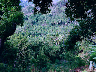 Views Of Hilly Fields Around The Area Of Brahmavihara Arama Monastery North Bali