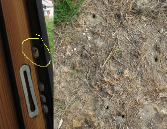 Biene Aus? Wohin Geht Der Landwirtschaft? . - GEOPREK