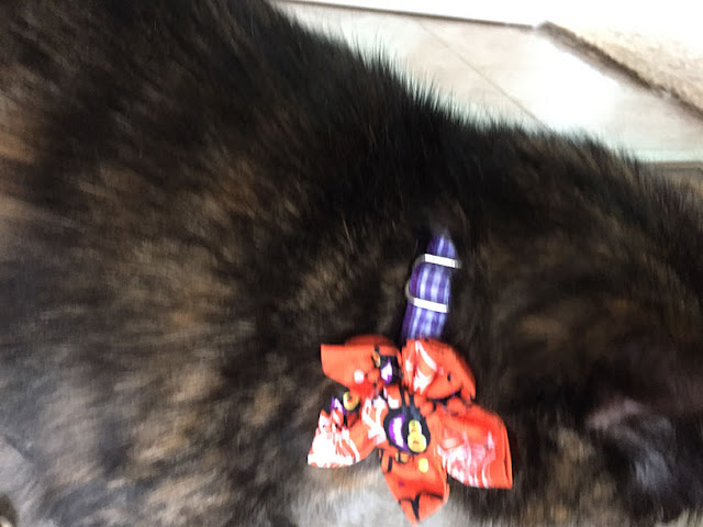 blurred close-up of Paisley with her Halloween flower 