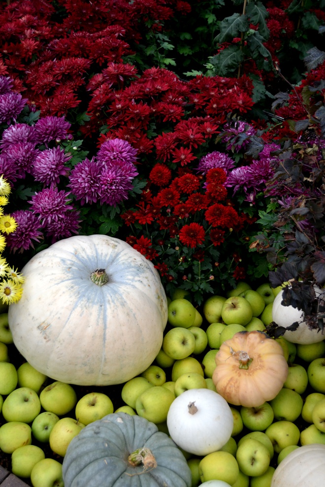 What to Do, Where to Stay, What to Eat in Grand Rapids The