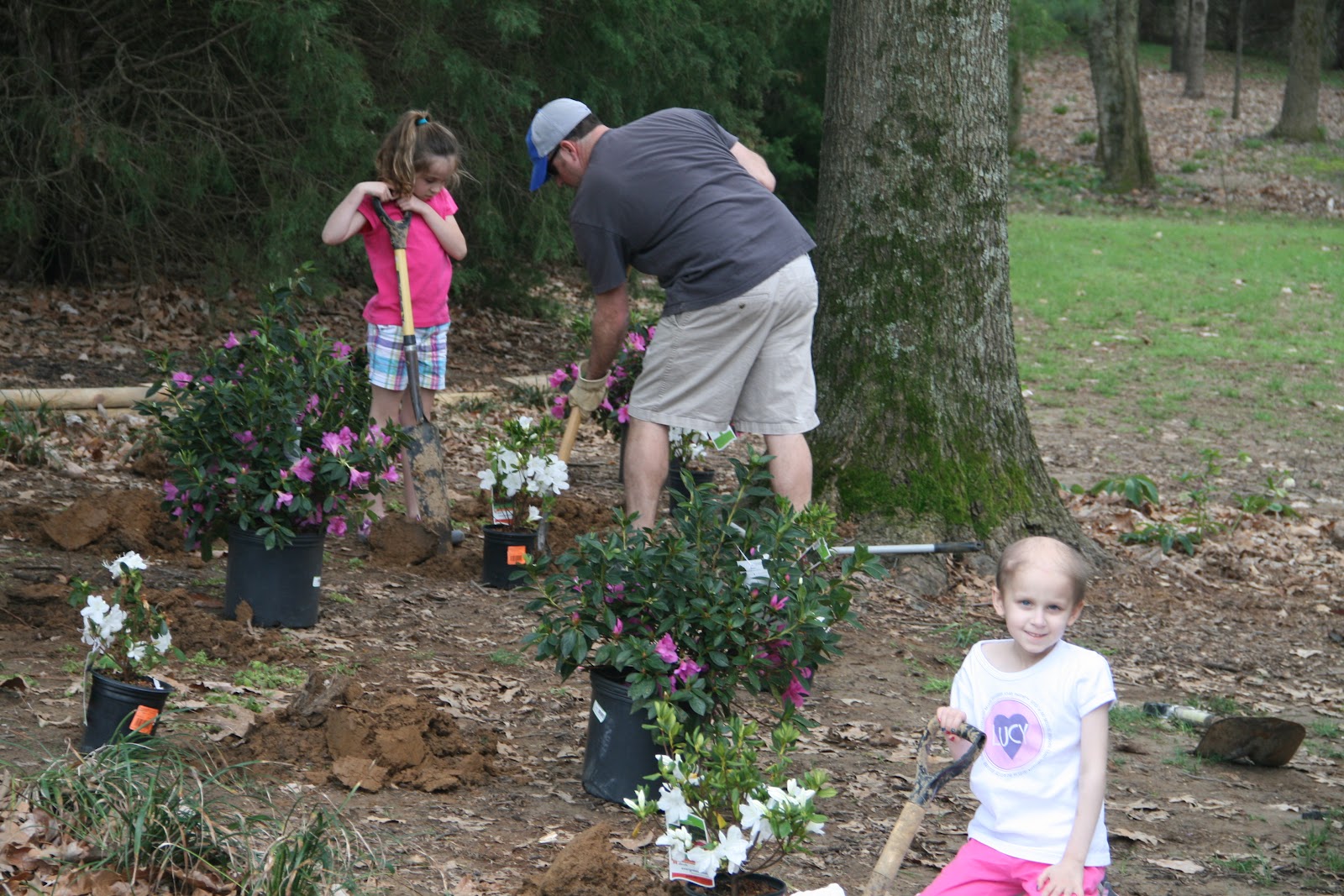 2 Kids, a Mini Van and a Mortgage: Weekend Yard Work