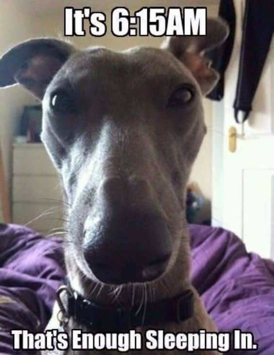 NEVER...EVER...GIVE UP HOPE 11 Reasons Why You Should (NOT) Have a