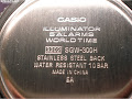 Casio SGW-300