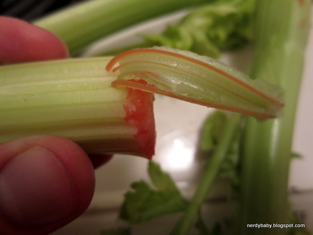 Nerdy Science: Colored Celery Sticks