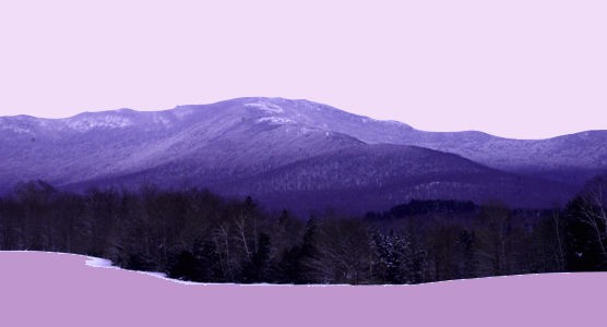 Vermont Photo Blog: Finding Sabra Field