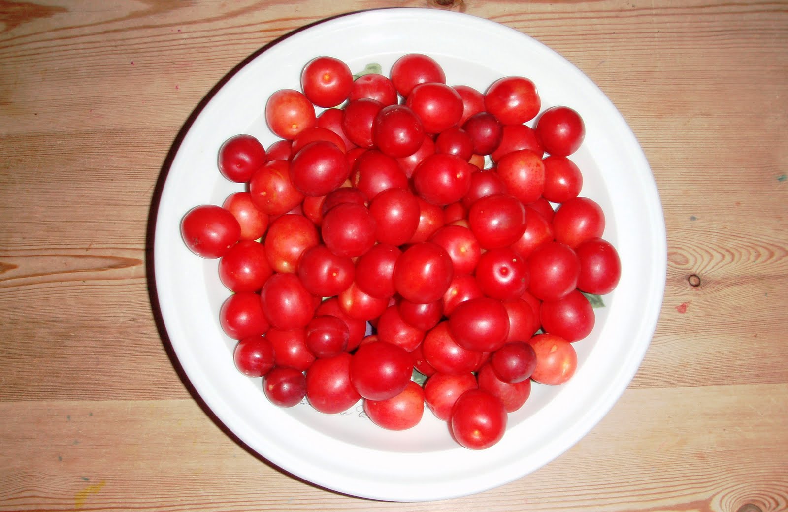 The Urbane Forager A Real Plum Spot