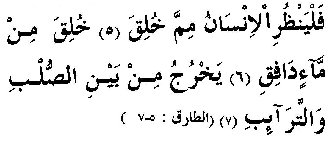 Khutbah Jumat Singkat Hakekat Kehidupan Manusia Khutbah Jumat Singkat Hakekat Kehidupan Manusia