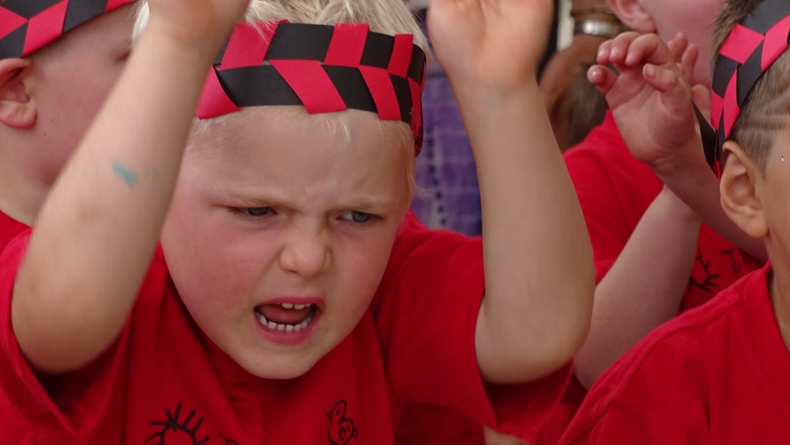 Torbay Kindergarten 2016