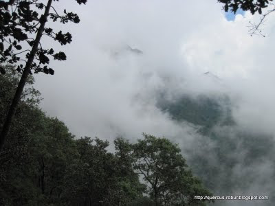 Cerro Viejo - Neblina al Sur