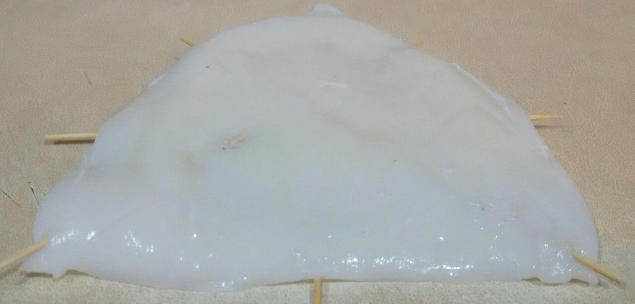 Sergio Benito: Receta de Sepia a la Plancha con Gremolata.