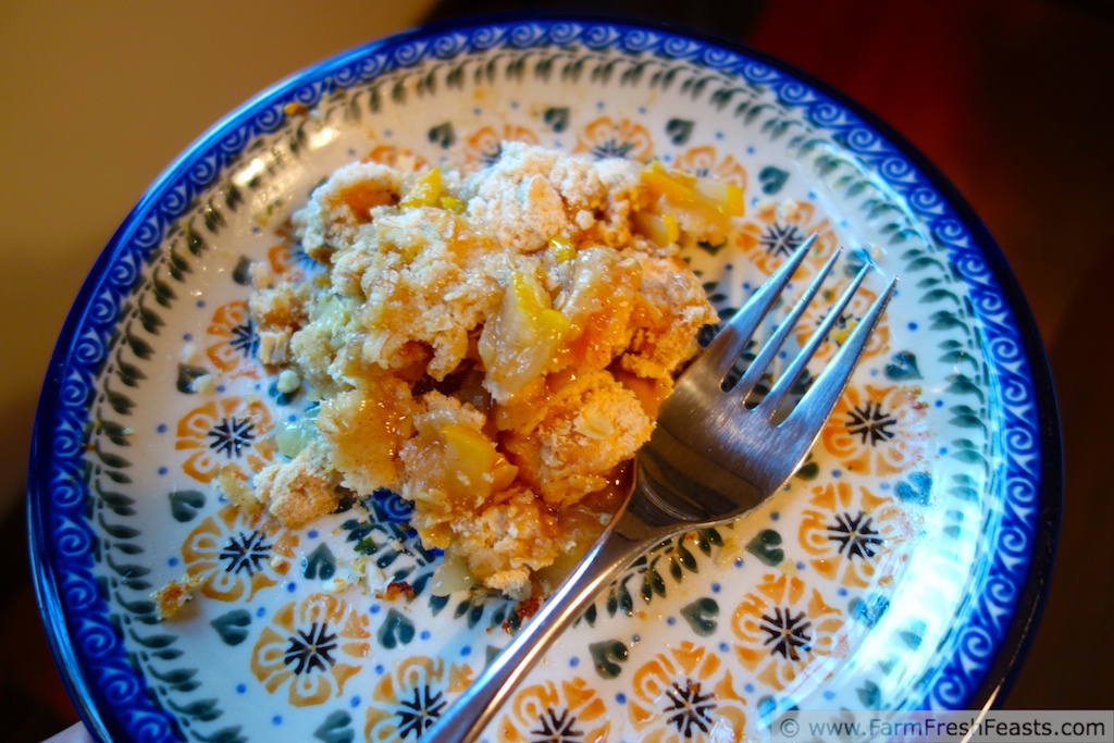 Farm Fresh Feasts Summer Squash = Fall Dessert