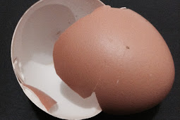 Pupuk Organik Cangkang Telur