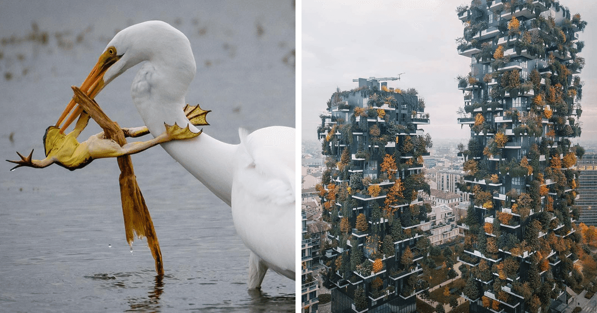 30 MindBlowing Photographs From The National Geographic Instagram