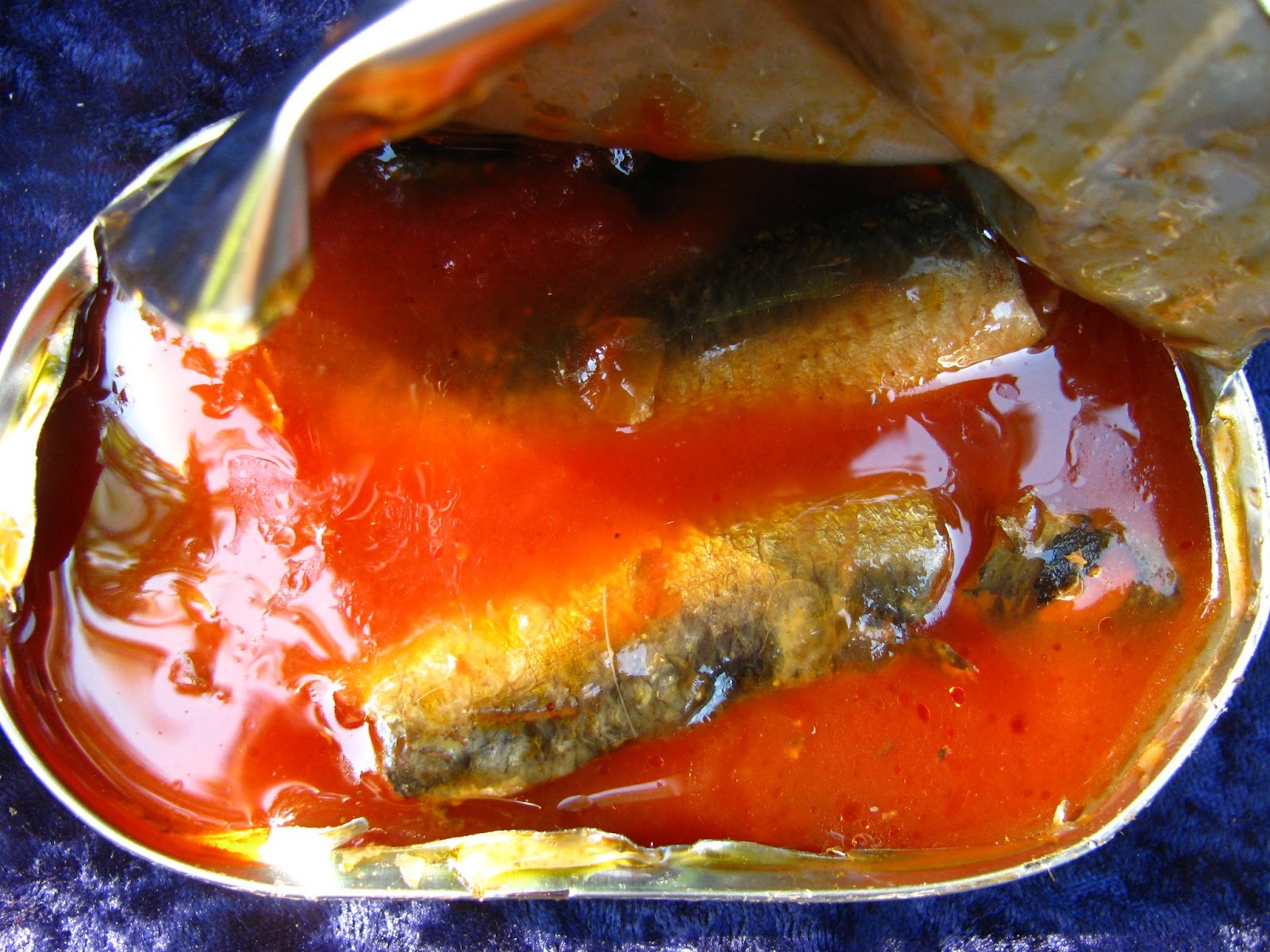 Mouth Full of Sardines SUMACO13