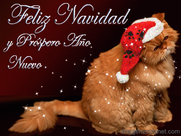 Merry Christmas! Happy New Year 2023! Imagenes-de-feliz-navidad-y-un-prospero-a%C3%B1o-nuevo%5B1%5D