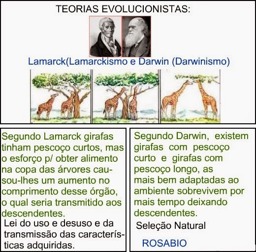 Lamarckismo x Darwinismo: Lamarck e Darwin