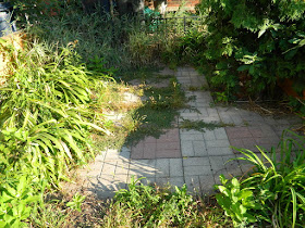 Little Portugal summer garden cleanup by Paul Jung Gardening Services Toronto before