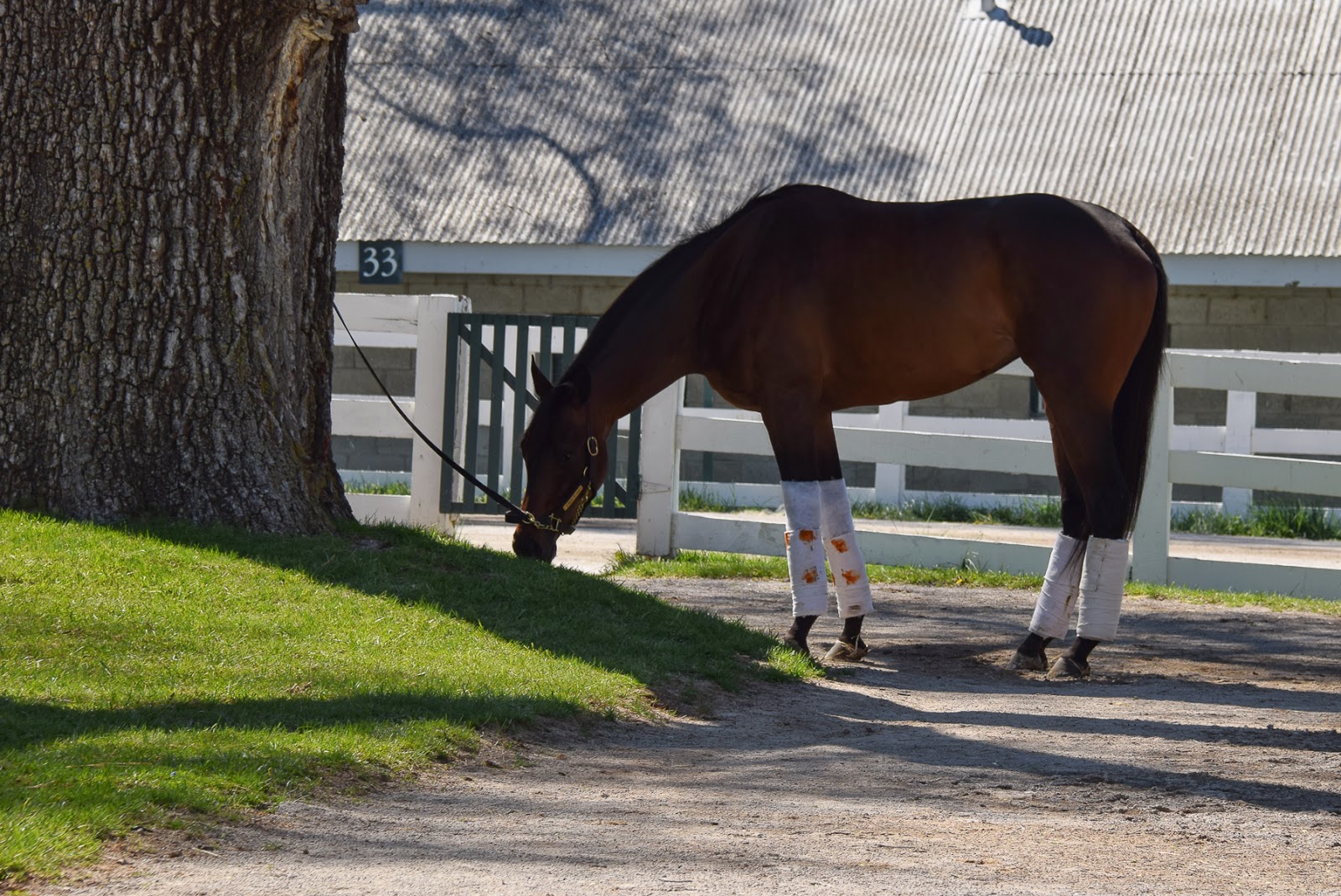 Photos by Alex Orlov Keeneland Tailgating