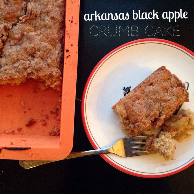 Fruitful Arkansas Black Apples