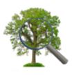 Go to ftanalyzer.com to download Family Tree Analyzer for free.