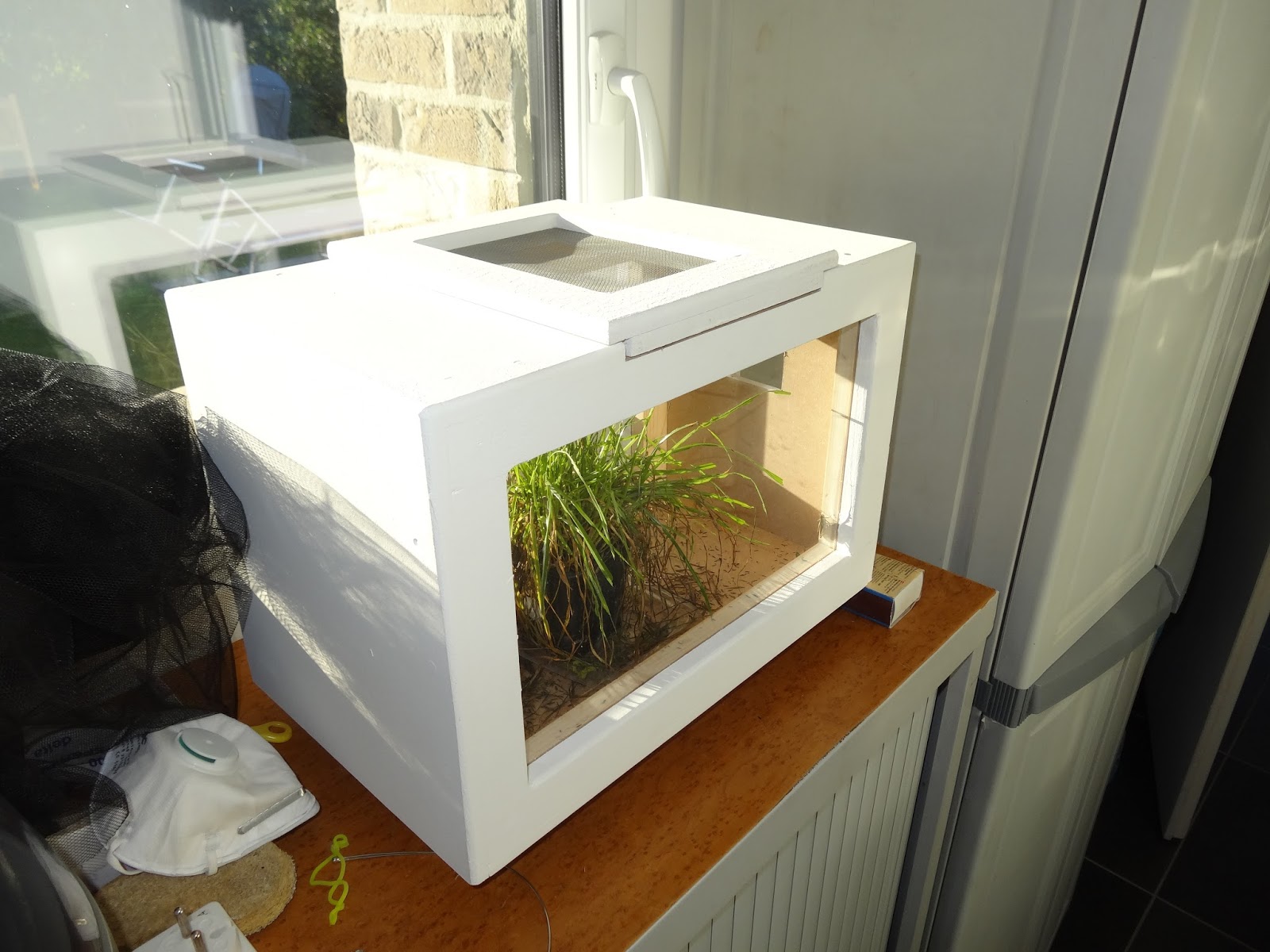 Blog de Vincent Demaret: Réalisation d'une boite à insectes