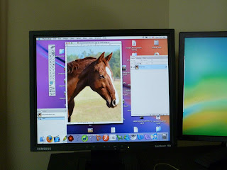 This shows how I use Photoshop and a monitor to edit and reference for my oil painting of Wickers the Warmblood.
